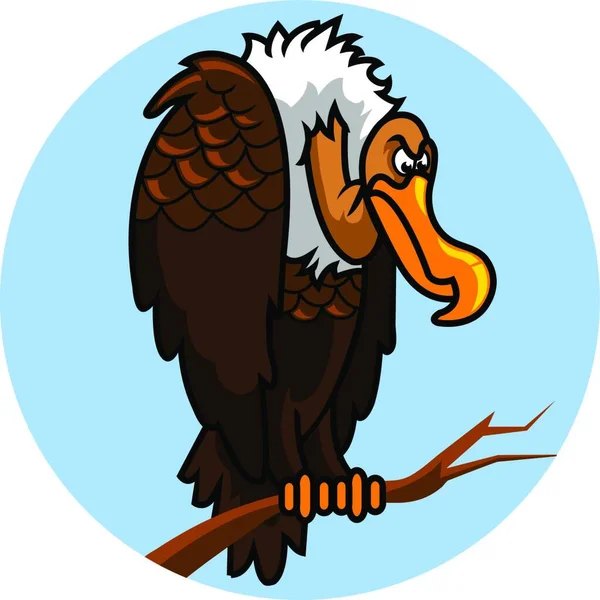 Ilustração Vetorial Pássaro Nazar Predador Cadáver —  Vetores de Stock