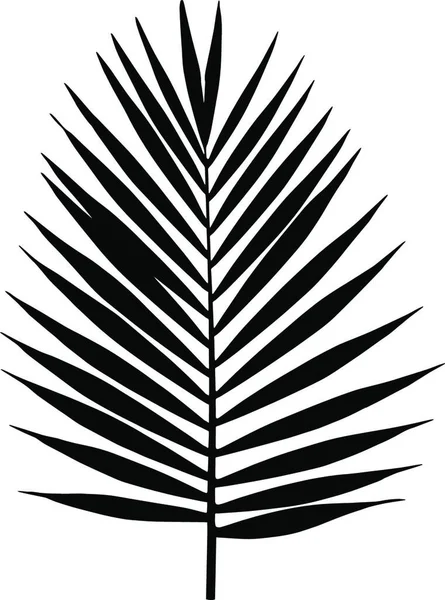 Palmblatt Silhouette Vektorillustration Tropische Blätter — Stockvektor
