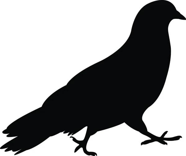 Vecteur Silhouette Pigeon — Image vectorielle