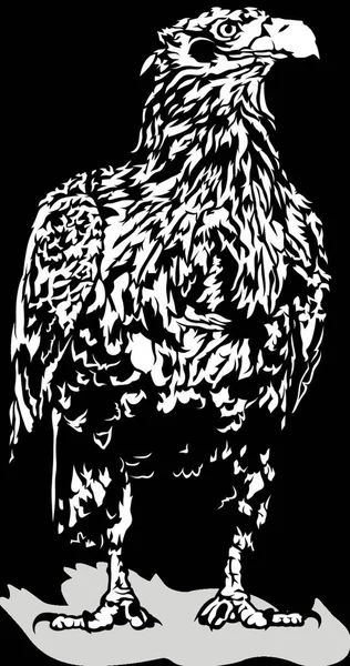 Águila Blanca Negra Ilustración Delineada Vector — Vector de stock