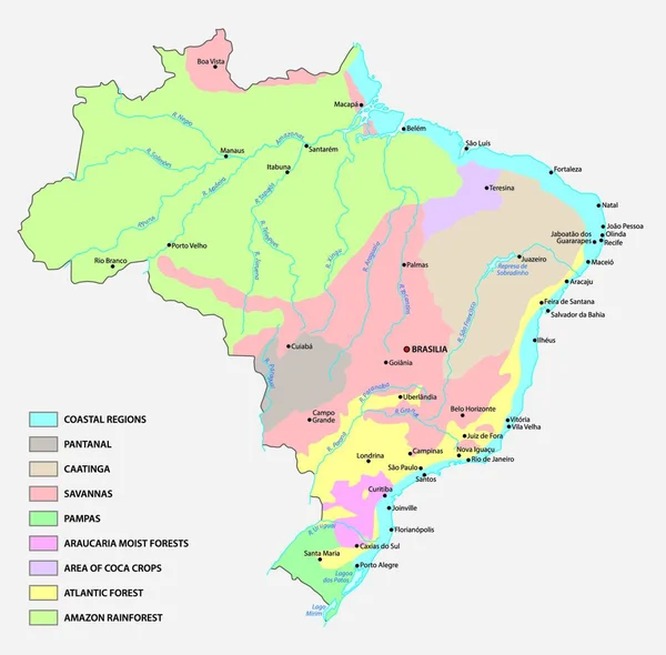Vegetační Mapa Brazílie — Stockový vektor