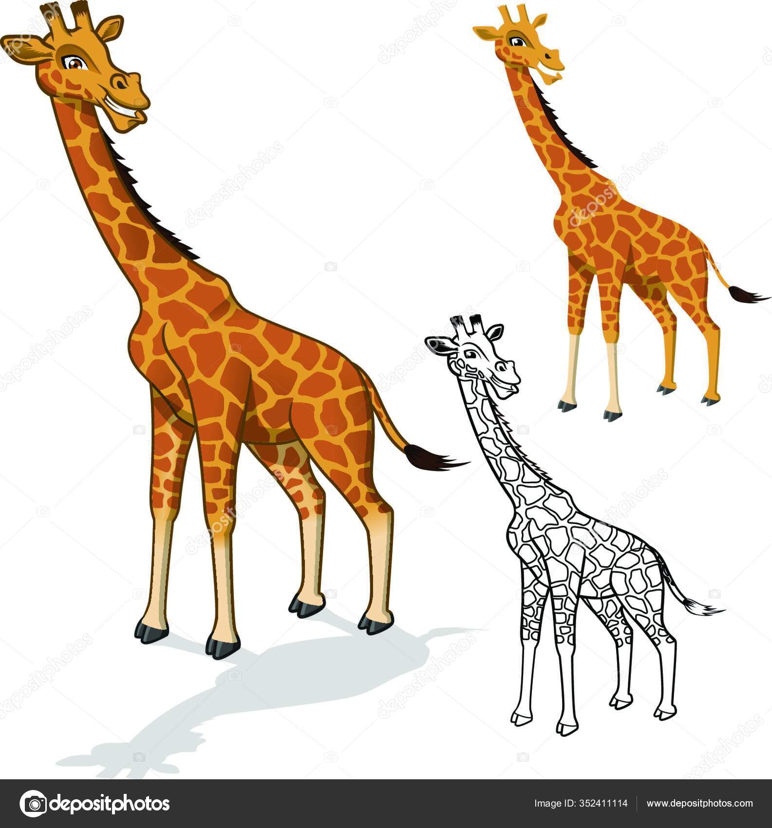 Baixe Girafade Desenho Animado De Pé Nas Patas Traseiras Vetor |  Wallpapers.com, image size:1585x1700