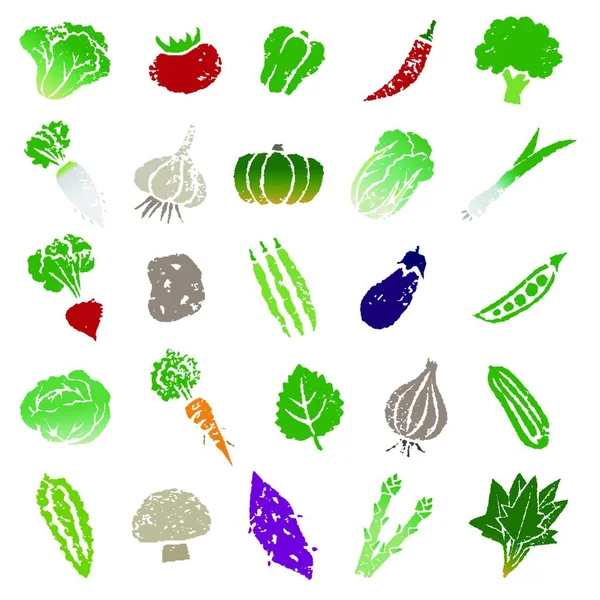 Różne Ikony Roślinne Ilustracja Zestaw Kolorze — Wektor stockowy