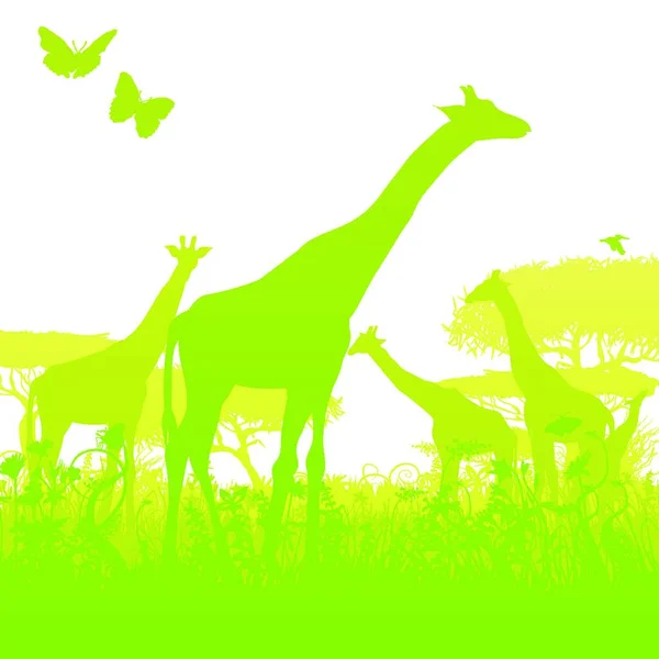 Girafas Uma Floresta África — Vetor de Stock