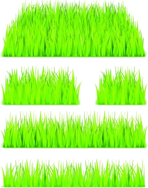 Hierba Verde Ilustración Vectorial — Vector de stock