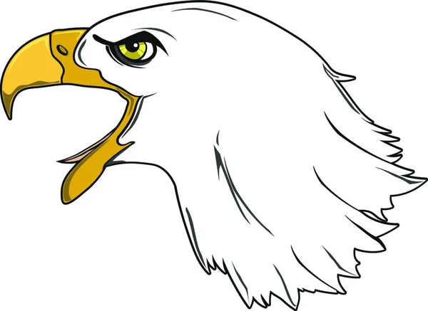 Large Bird Prey Eagle — Stock Vector
