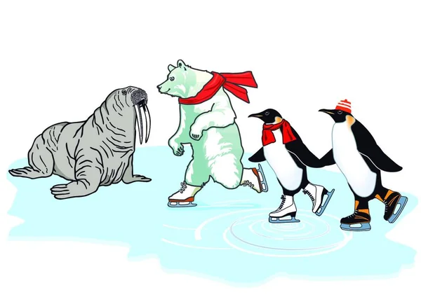 Oso Polar Pingüino Morsa Patinaje — Archivo Imágenes Vectoriales