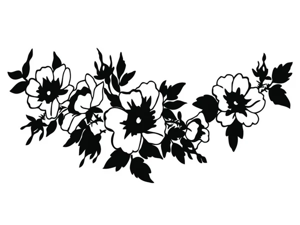 Kirschzweige Mit Blumen Vektor Illustration Isoliert Auf Weiß — Stockvektor