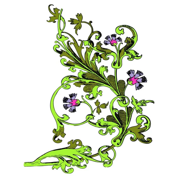 Ručně Kreslená Ilustrace Větvičky Květinami Listy Barokního Vektoru Chrpy Barevné — Stockový vektor