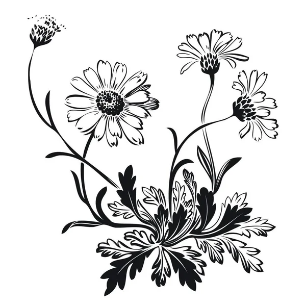 Met Hand Getekend Boeket Van Kamille Bloemen Geïsoleerd Zwarte Achtergrond — Stockvector