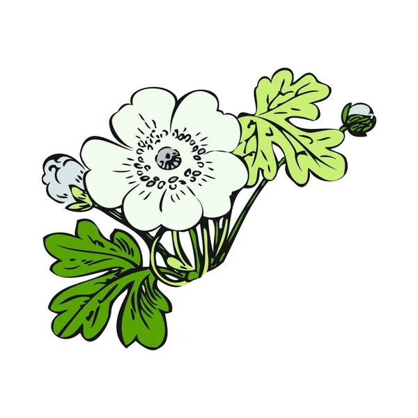 Kwiat Krzak Retro Białym Wektorze Tła Ręcznie Rysowane Dekoracyjne Kwiat — Wektor stockowy
