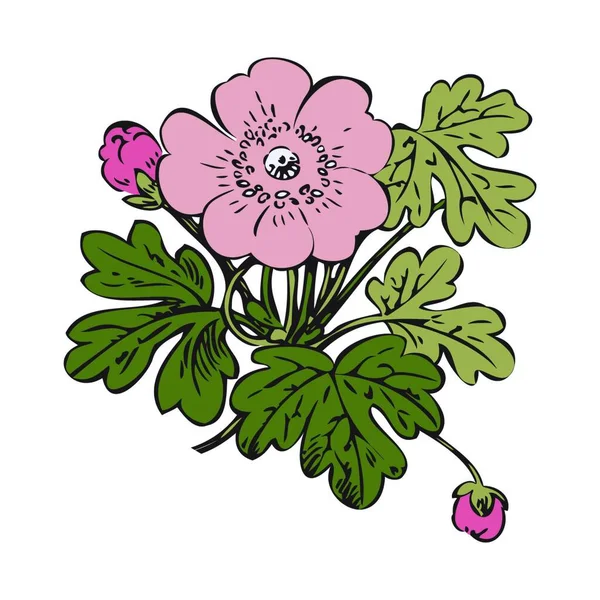 Arbusto Floral Retro Vector Fondo Blanco Dibujado Mano Contorno Vendimia — Archivo Imágenes Vectoriales