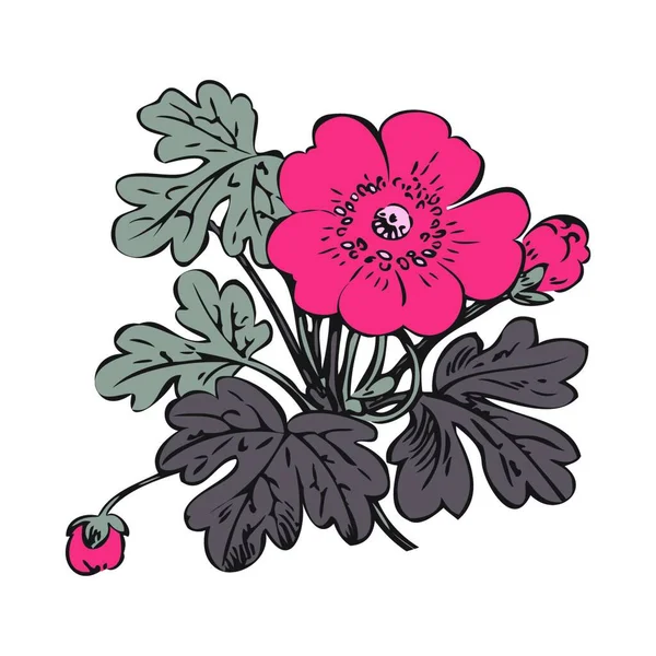 Arbusto Floral Retro Vector Fondo Blanco Dibujado Mano Contorno Vendimia — Archivo Imágenes Vectoriales