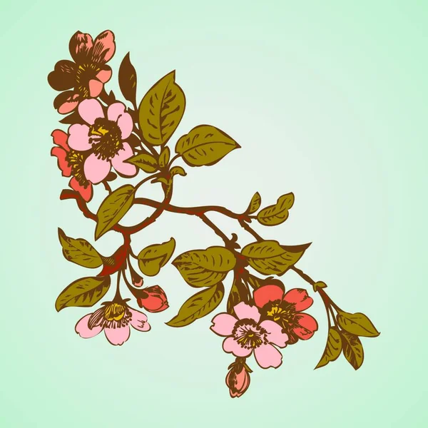 Ramas Cerezo Con Flores Ilustración Vector Sakura — Archivo Imágenes Vectoriales