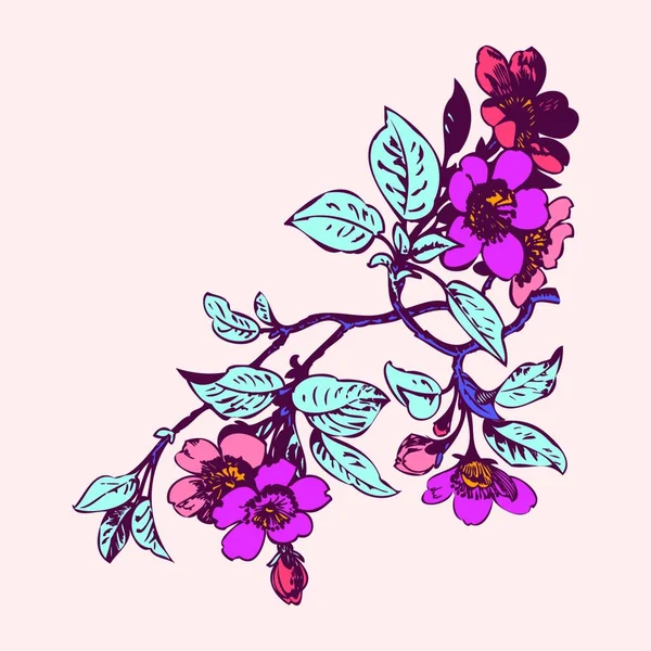 Ramas Cerezo Con Flores Ilustración Vector Sakura — Vector de stock