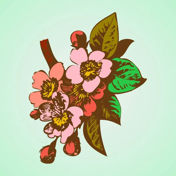 Ramos Cereja Com Flores Ilustração Vetorial Sakura —  Vetores de Stock