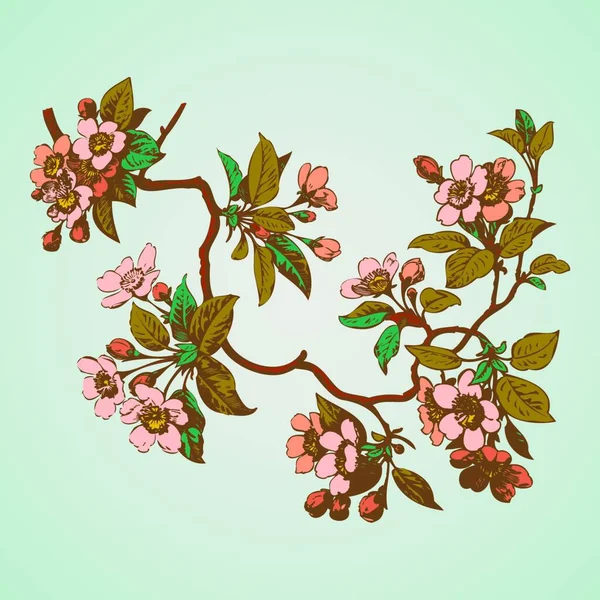 Wiśniowe Gałęzie Kwiatami Sakura Wektor Ilustracja — Wektor stockowy