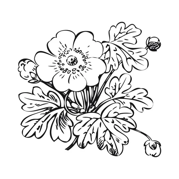 Bloemen Struik Retro Zwart Witte Achtergrond Vector Met Hand Getekend — Stockvector