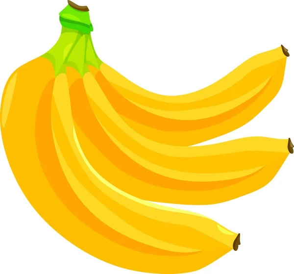 Cartoon Illustration Banana Fruits Food Object — Stock Vector