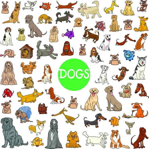 Dibujos Animados Ilustración Perros Mascotas Animales Personajes Gran Colección — Archivo Imágenes Vectoriales