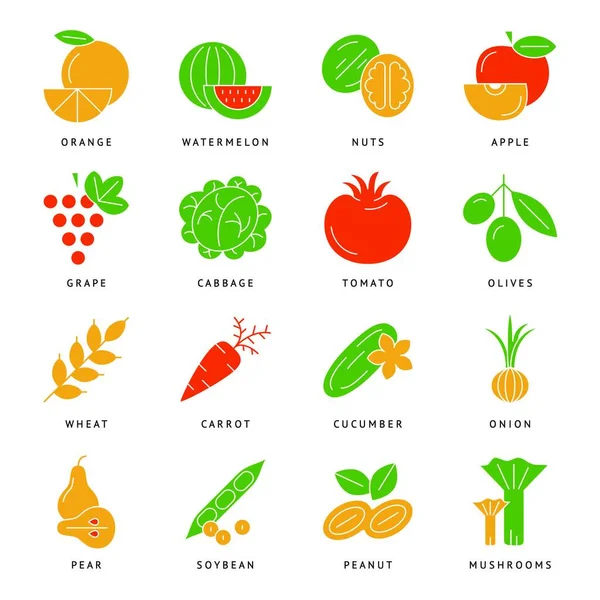 数字向量绿色植物图标设置信息图形画简单线艺术 洋葱南瓜梨橙色苹果大胡萝卜核桃豌豆卷心菜 有机素食 — 图库矢量图片