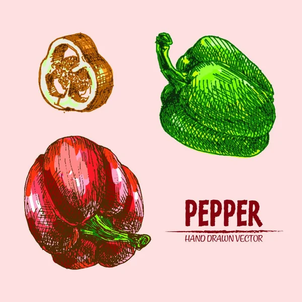 Ψηφιακή Διάνυσμα Λεπτομερή Γραμμή Τέχνης Χρώματος Πιπέρι Λαχανικών Χέρι Συλλογή — Διανυσματικό Αρχείο