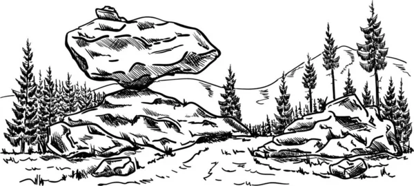 Vektor Skogsstigen Med Rock Liggande Isolerade Bakgrunden — Stock vektor