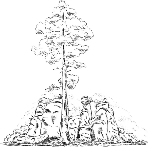 ベクトルの背景に分離された木と岩 — ストックベクタ
