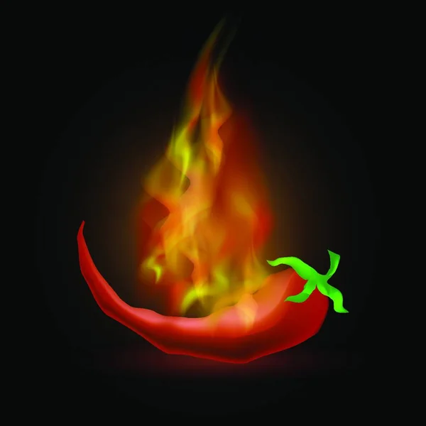 Warme Rode Verse Peper Met Vuur Vlam Donkere Achtergrond — Stockvector