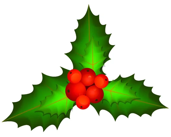 Lente Van Kerstmis Holly Bessen Bladeren Vector Illustratie — Stockvector