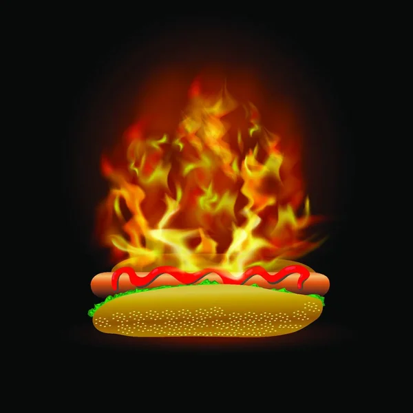 Vektor Verbrennung Von Frischem Hot Dog Mit Ketchup Isoliert Auf — Stockvektor