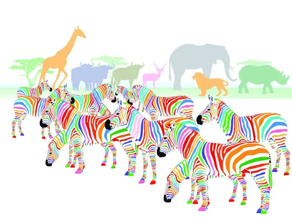 Zebras Coloridas Savana —  Vetores de Stock