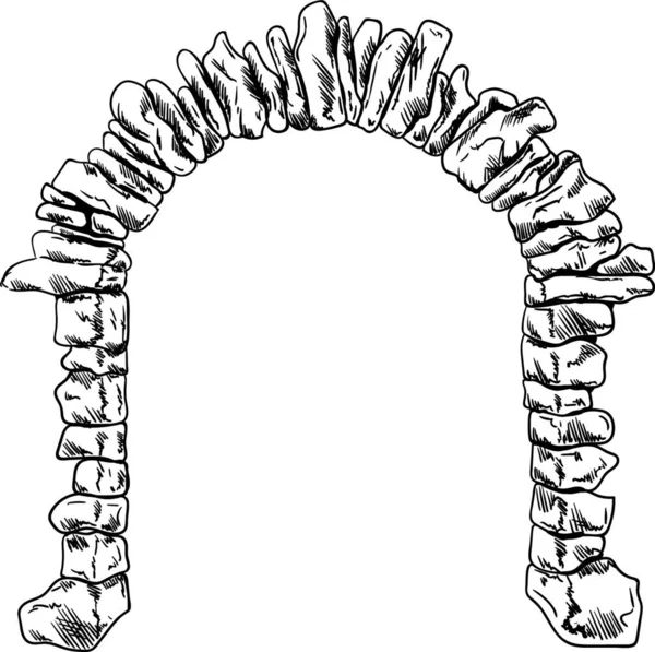 Vektor Gammal Sten Entré Vägg Isolerad Bakgrunden — Stock vektor