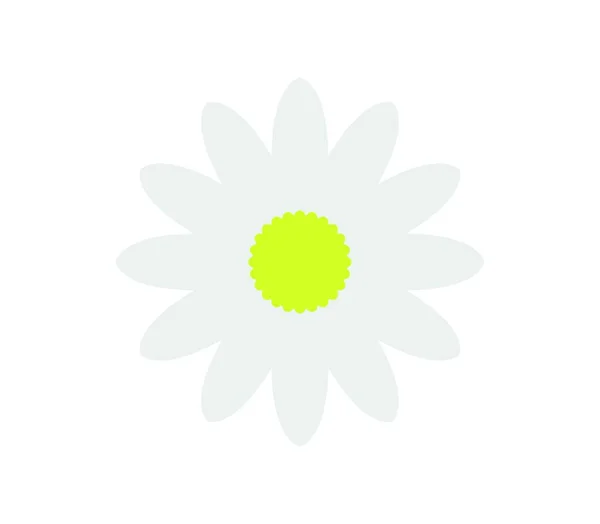 Ромашка Красивые Цветы Изображение — стоковый вектор