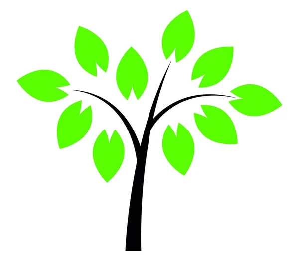 Διανυσματικό Δέντρο Φύλλα — Διανυσματικό Αρχείο