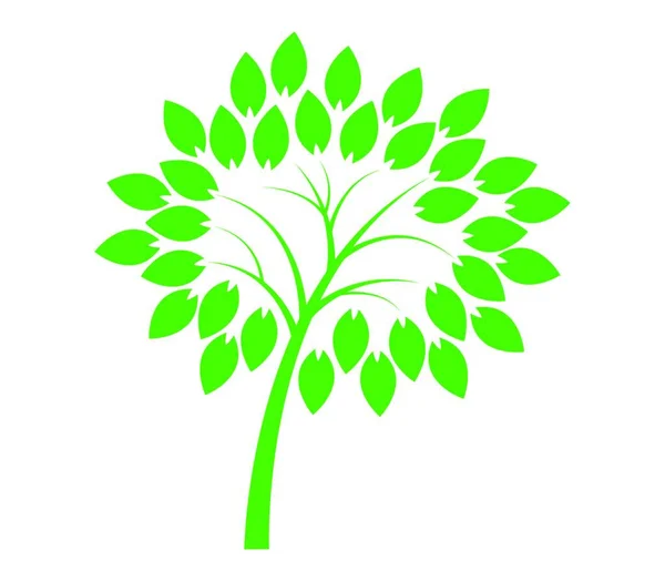 Árbol Verde Con Hojas Ilustración Vectorial — Vector de stock