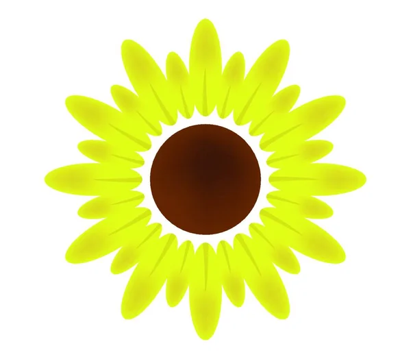 Icono Girasol Ilustración Sobre Fondo Blanco — Archivo Imágenes Vectoriales