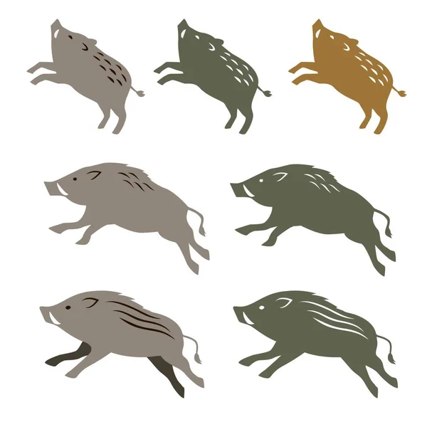 Wild Boar Wild Pig Animal Illustrations White Background — Stock Vector
