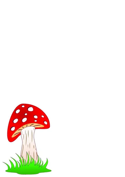 Amanita Pilz Gras — Stockvektor