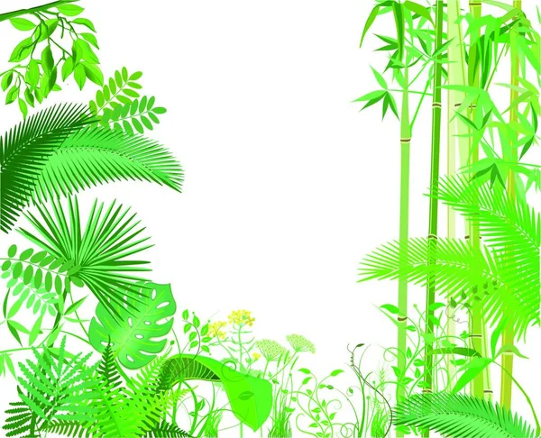 Tropical Leaves Palm Trees Isolated White Background — Stock Vector