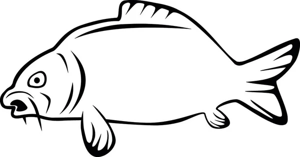 Carpa Peixe Animal Logótipo Rótulo Pesca — Vetor de Stock