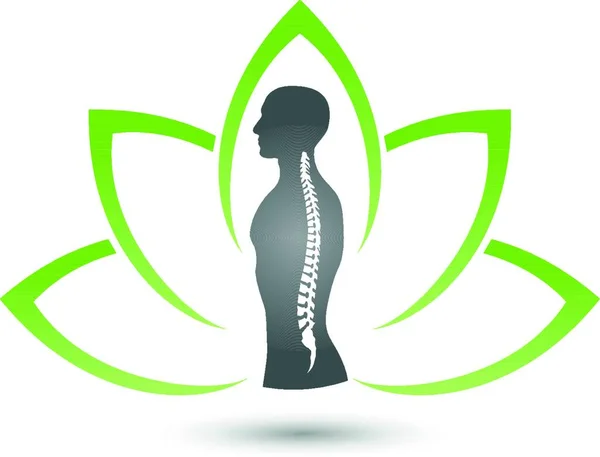 Humain Plante Colonne Vertébrale Massage Orthopédie Naturopathes Logo — Image vectorielle