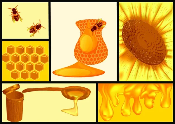 Słodki Miód Zestaw Honeycom Bee Kwiat — Wektor stockowy