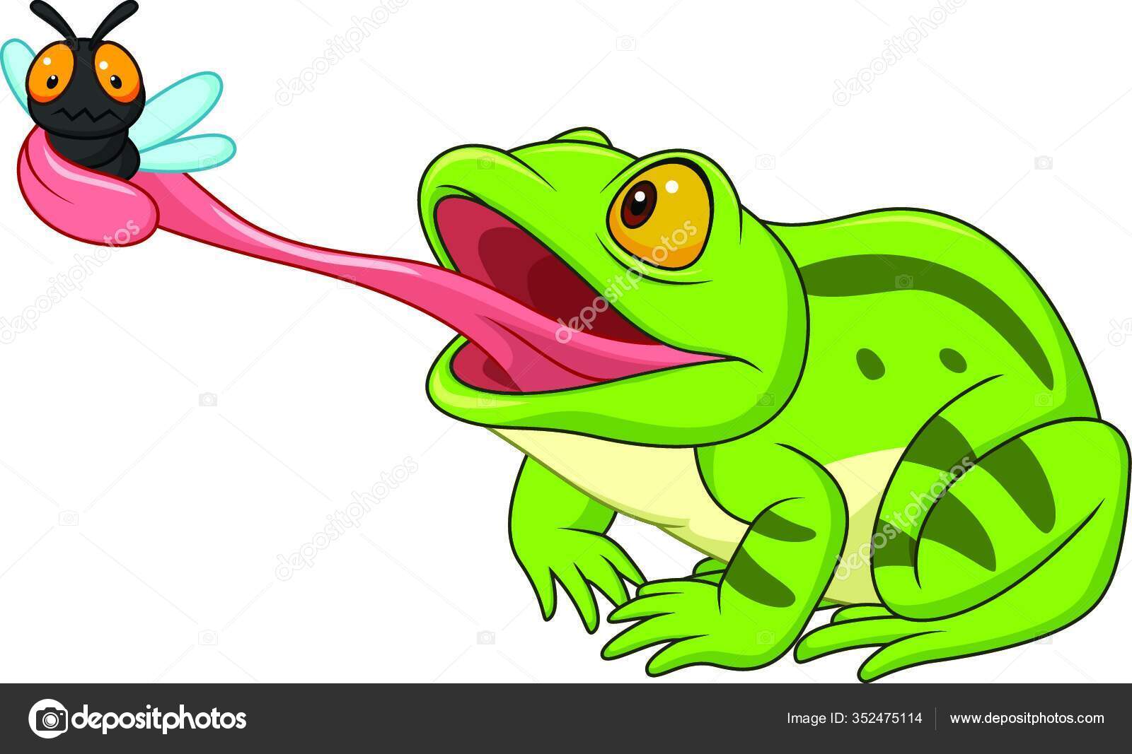 Katak Kartun Menangkap Lalat Stok Vektor C Panthermediaseller 352475114