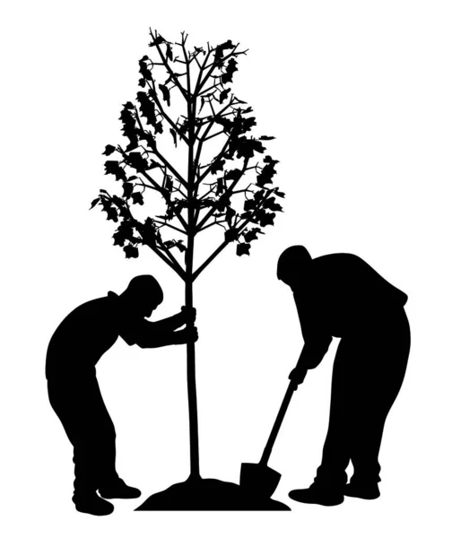 Ilustração Silhueta Dois Homens Plantando Uma Árvore Fundo Branco Isolado — Vetor de Stock