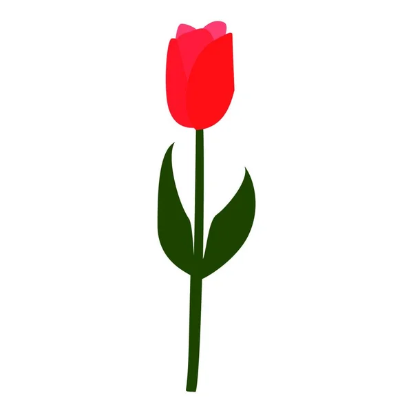 Tulpan Blomma Röd Färg Med Grön Blad Enkel Stil — Stock vektor