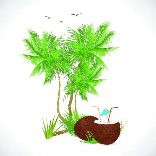 Illustration Eines Kokosgetränks Und Palmen Isoliert Auf Weißem Hintergrund — Stockvektor
