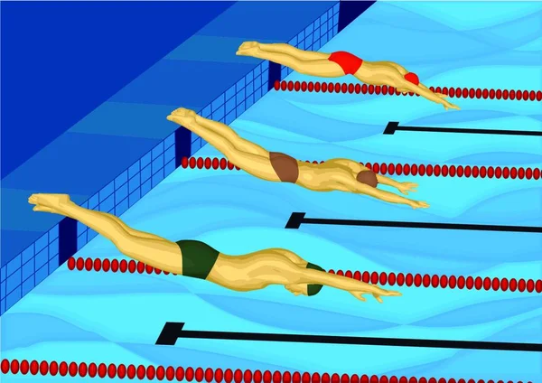 Drie Zwemmers Springen Het Zwembad — Stockvector