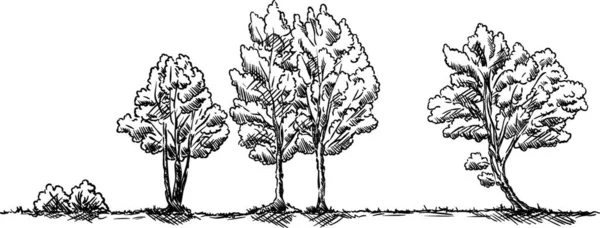 Vctor Bomen Het Landschap Geïsoleerd Achtergrond — Stockvector