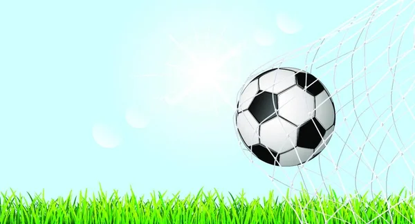 Banner Con Pelota Fútbol Césped Hierba Pelota Fútbol Está Red — Vector de stock